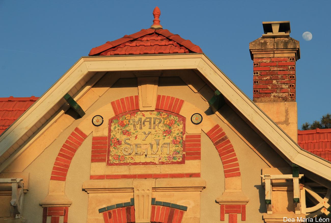 screenshot of project